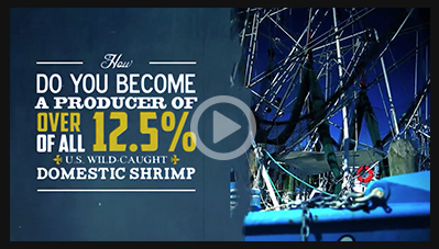 Biloxi Freezing video